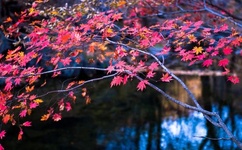 宝宝再深一点一可以吗